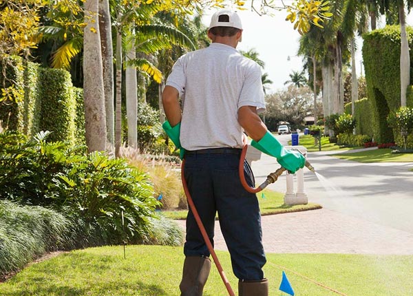 About Olympia Fields IL Pest Control